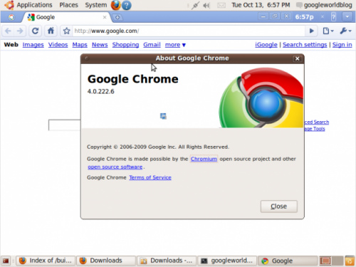 Google Chrome界面