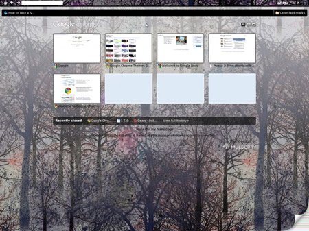 谷歌Chrome操作系统界面截图再度泄露(图)