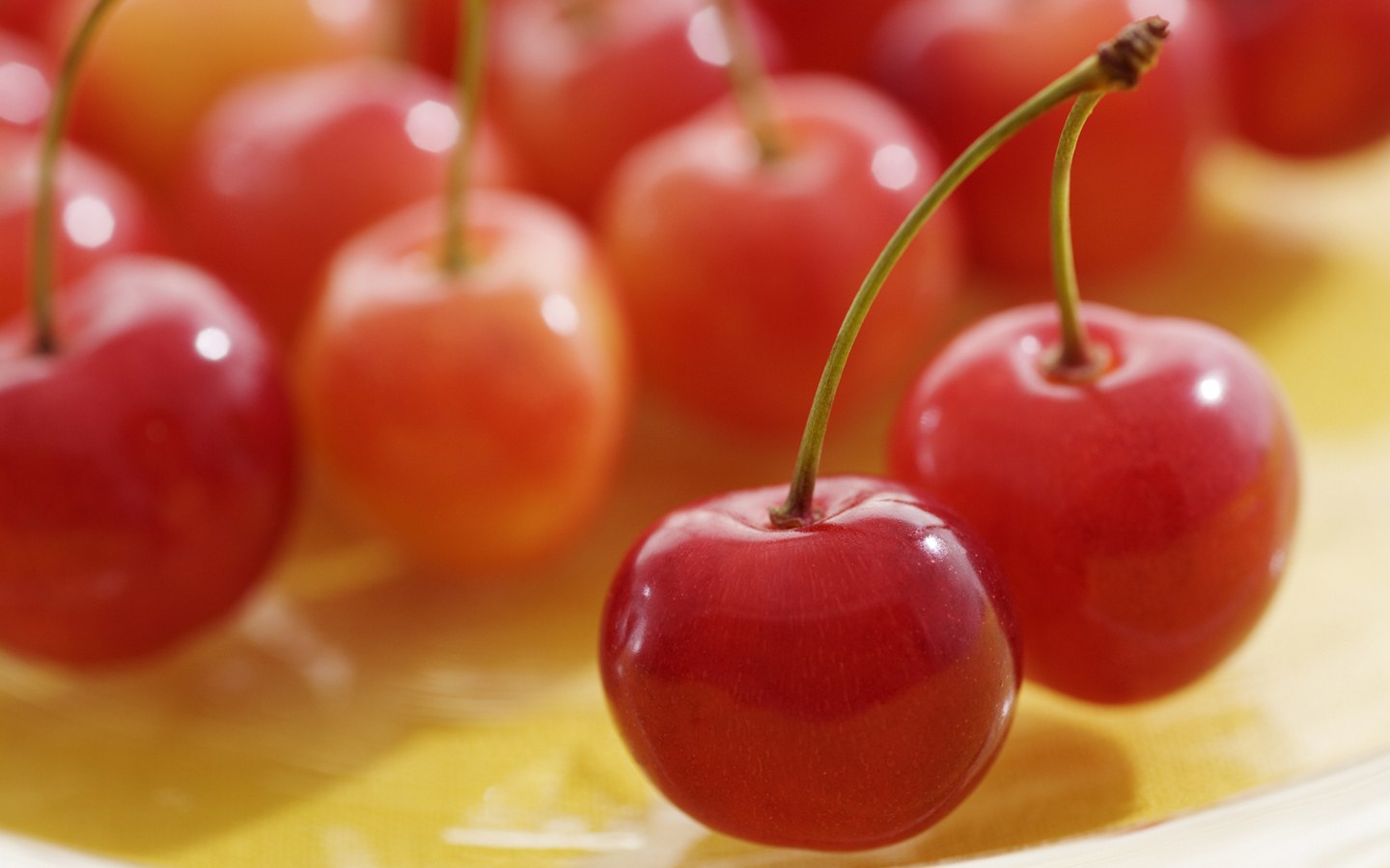 fresh fruit dessert photo jt156 了解 11 月 Google PR 更新要点