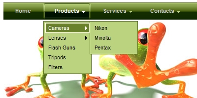 Professional Dropdown #2
