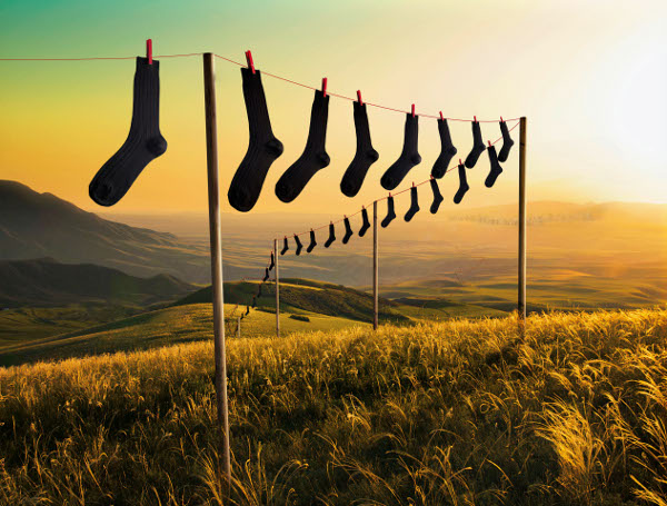 Blacksocks每年净赚百万美刀
