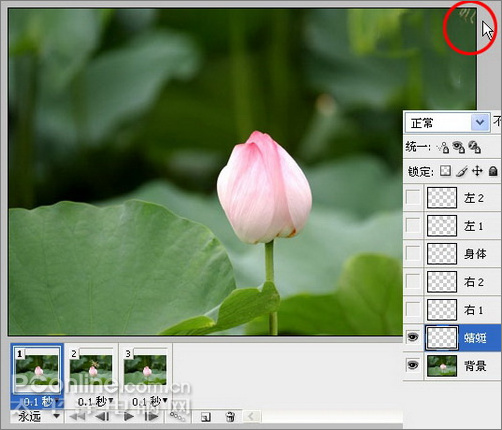 Photoshop CS3教程:蜻蜓落荷花动画