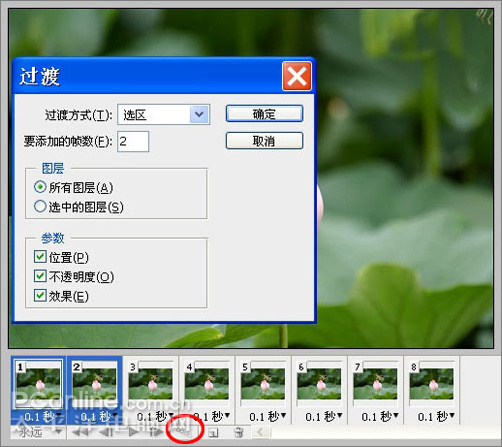 Photoshop CS3教程:蜻蜓落荷花动画