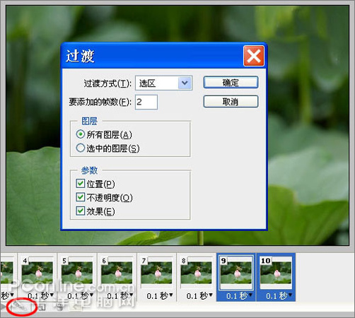 Photoshop CS3教程:蜻蜓落荷花动画