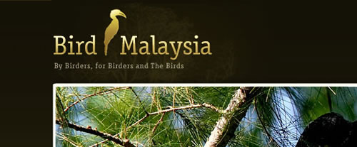 Bird Malaysia