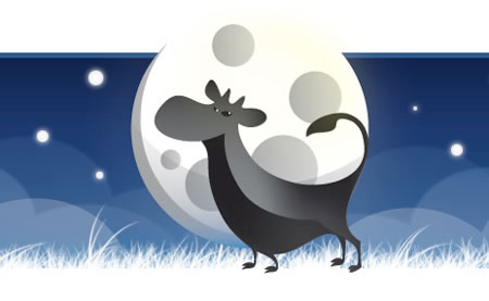 tor web