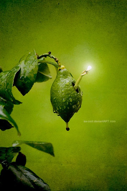 fresh4 20 Fresh and Inspiring Photo Manipulations