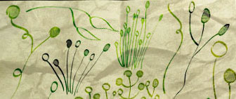 Hand Drawn Plant Brushes