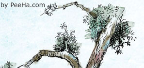 Hand Drawn Tree Brushes