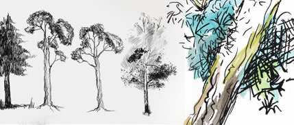doodled trees