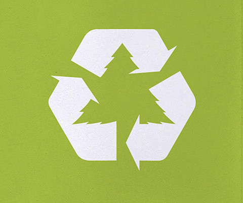 100+ Fascinating Eco Friendly Logos