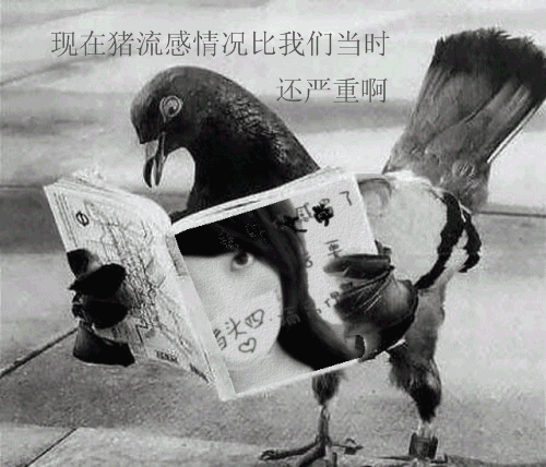 美图秀秀一分钟搞定QQ空间炫丽相册