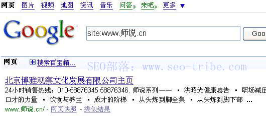 中文域名搜索