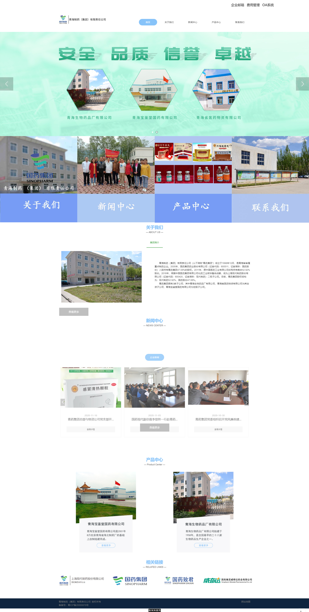 青海制药(集团)有限责任公司网站建设项目