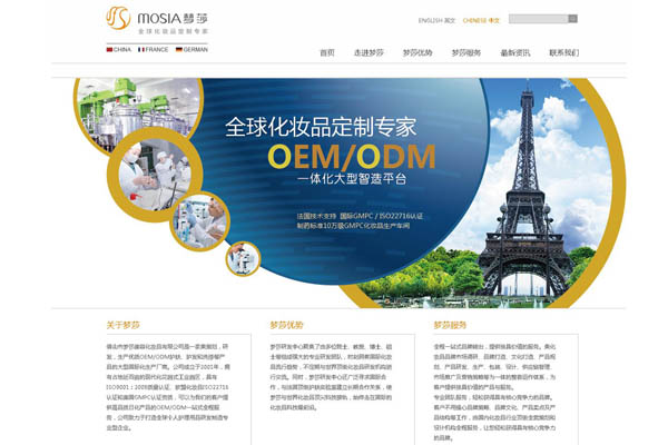 佛山市梦莎美容化妆品有限公司网站建设项目