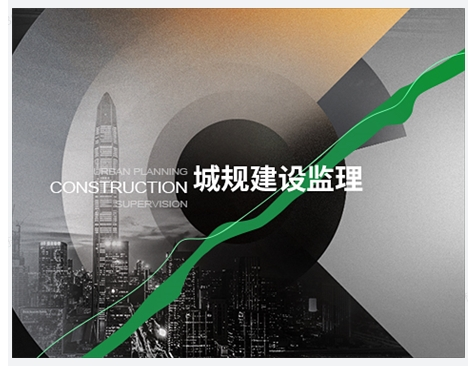 广东省城规建设监理有限公司网站建设项目